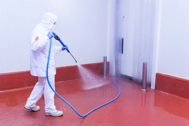 Best Boat and Dock Cleaning  in Jonestown, TX